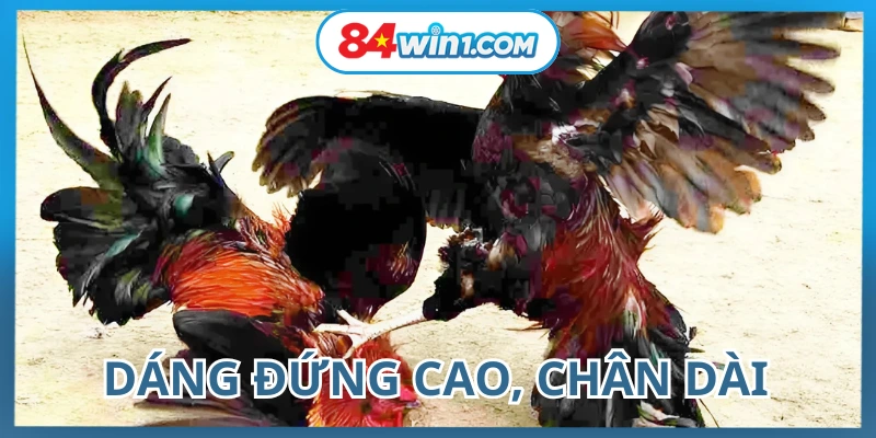 cach-nhan-dien-the-ga-da-xa-nhanh