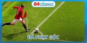 da-phat-goc-avt