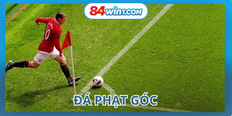 da-phat-goc-avt