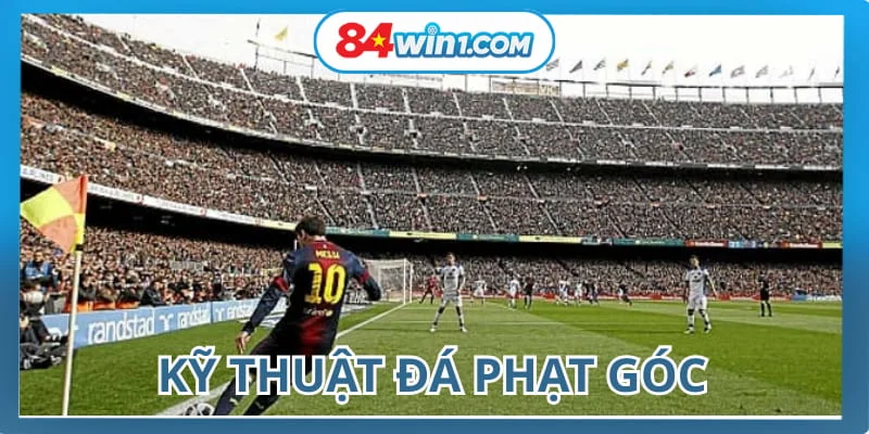da-phat-goc-ky-thuat-da
