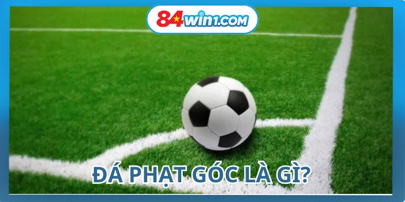 da-phat-goc-la-gi