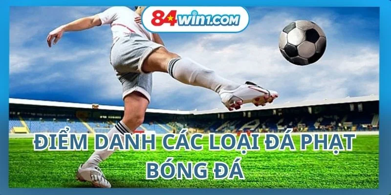 diem-danh-cac-loai-da-phat-bong-da-hien-nay
