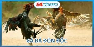 ga-da-don-doc