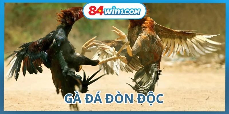 ga-da-don-doc