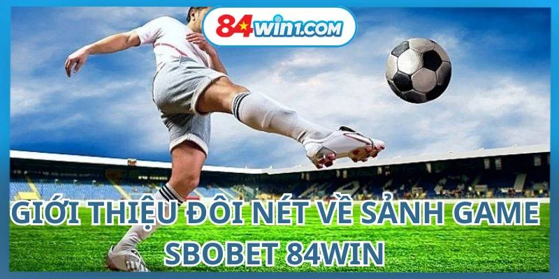 gioi-thieu-doi-net-ve-sanh-game-sbobet-84win