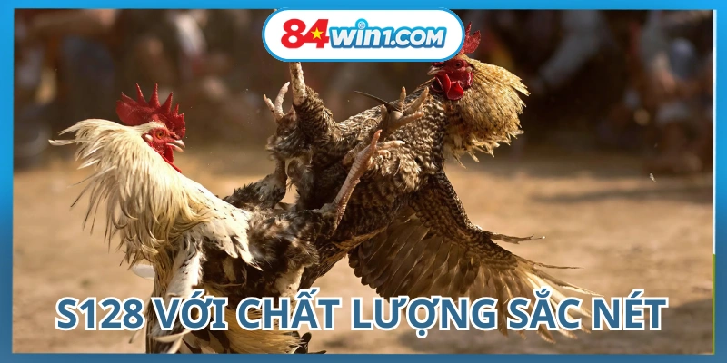hinh-anh-sac-net-da-goc-quay