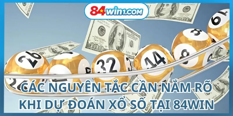 nhung-dieu-can-nho-khi-du-doan-xo-so-tai-nen-tang