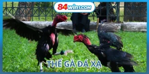 the-ga-da-xa