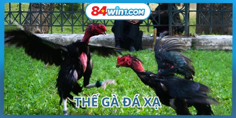 the-ga-da-xa